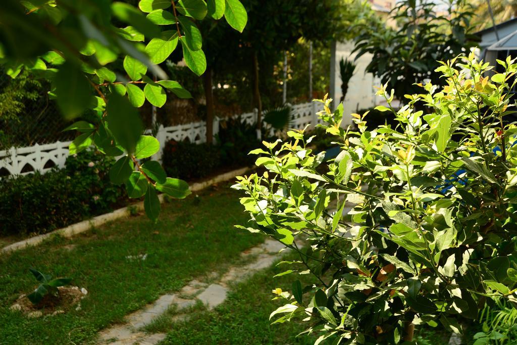 Pinar Hotel 알란야 외부 사진